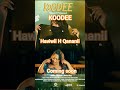 Hawwii H Qananii KOODEE Coming Soon Best Music