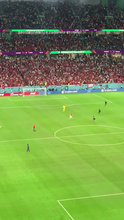 Security Guards Nab Acrobatic Pitch Invader