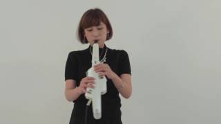 Introducing the Tones: Roland Aerophone AE-10 #03