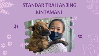 STANDAR TRAH ANJING KINTAMANI || Fakultas Kedokteran Hewan Universitas Udayana