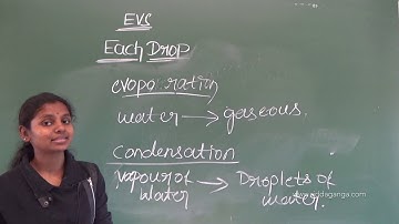 STATE 4 - EVS - EACH DROP - PART 2