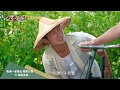 【#牛車來去】阿發苦尋初戀無果...｜ EP27 預告