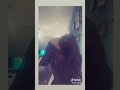 الفنانة قمر تبدع في الرقص 