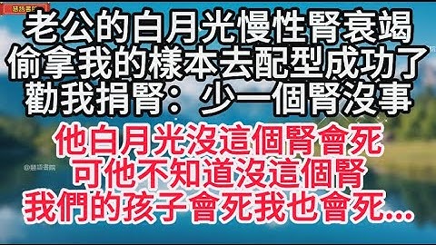 老公的白月光慢性腎衰竭，偷拿我樣本去配型成功了，勸我捐腎，可他不知道的是.............！🌹#情感故事 #為人處世 #生活經驗 #情感 #退休 #中年 #婚姻 #生活 #健康 #故事