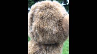 Russ Puppet Parade talking monkey screenshot 3