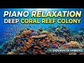 Stress Relief Sleep Music with Calming Waves for Stress and Anxiety Relief