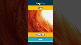 Tail - Queue Vocabulary Builder Learn English Apprenons Langlais
