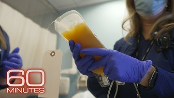 Inside the plasma therapy doctors are using to treat COVID-19