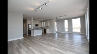 Humboldt Park  2 bedroom, two bathrooms, in-unit washer/dryer, balcony, roof deck, large dog ok