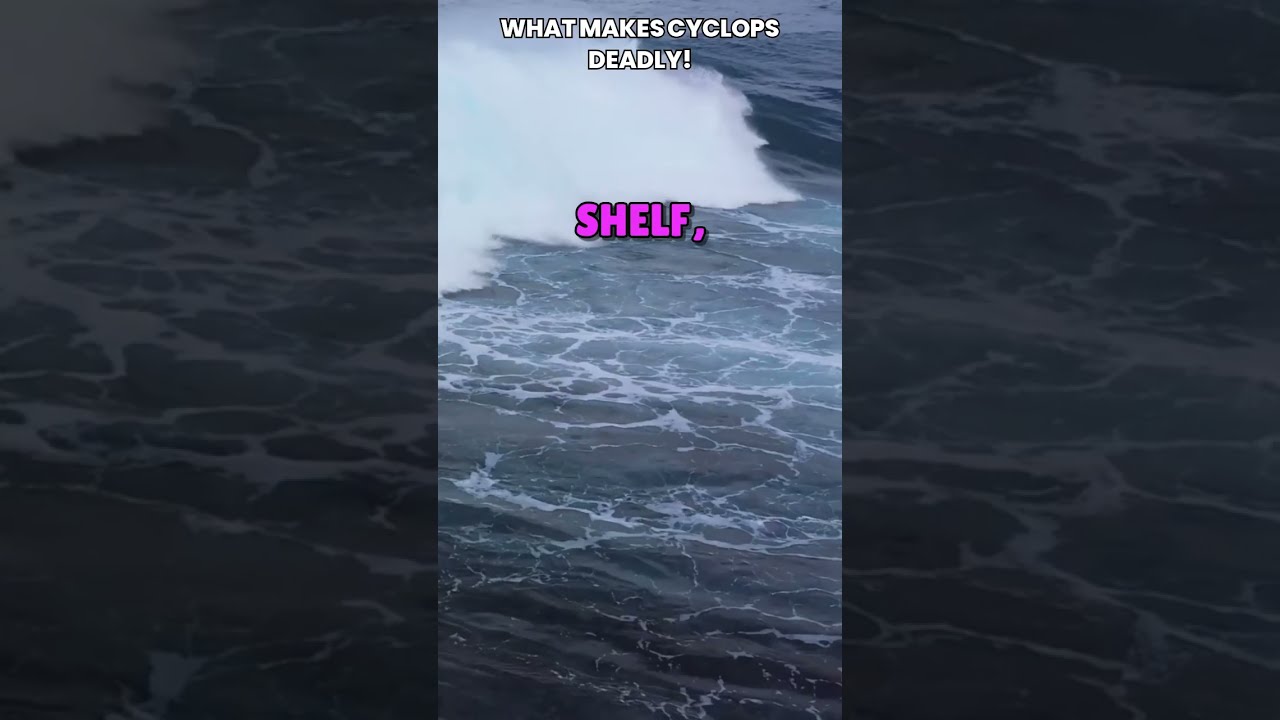 🌊 ☠️Большая волна Циклопа смертельно опасна ☠️🌊 