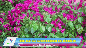 Đồng Tháp sẵn sàng cho hội nghị xúc tiến đầu tư