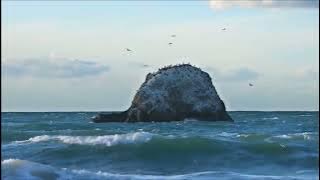 You can listen to this music forever! Sergey Chekalin! Divine music that can touch the Heart!