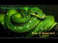 #Python #7 | #Operators Part 2 #PythonProgrammingInTamil