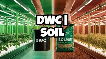 Starting DWC & Soil Gardens - Watch Me Grow! #marshydro #fce3000 #ts1000 #vg80