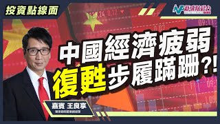 【投資點線面】中國經濟疲弱不振 6月出口創疫後最大跌幅？經濟衰退將至？｜林淑敏 王良享