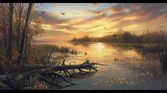 Marshland Sunset TV Screensaver | Calm and Peaceful Evening by the Water Tv Art