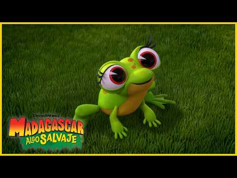 ¿Lala... se va? 🐸😢 | DreamWorks Madagascar en Español Latino