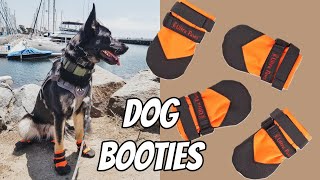 Dog Booties & Why You Need Them  Ultra Paws Dog Boots Review