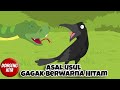 ASAL USUL GAGAK BERWARNA HITAM ~ Cerita Rakyat Kalimantan Timur | Dongeng Kita