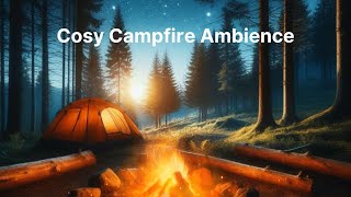 Campfire ambience with Owls, Crickets and Shooting Stars.