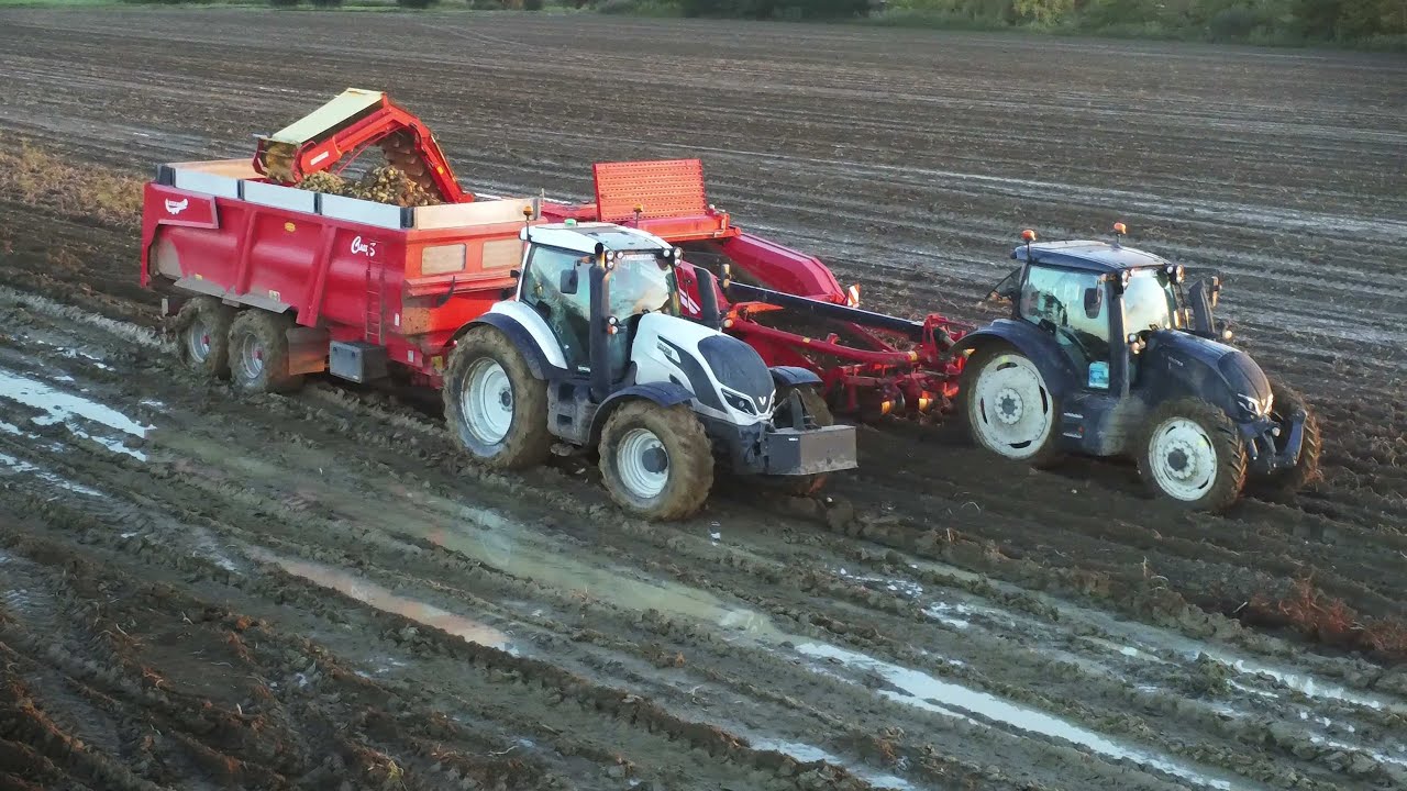 ARRACHAGE de POMMES DE TERRES 2023 🥔 en CONDITIONS DIFFICILES