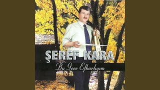 Beterin Beteri Var