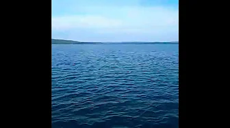a #melody#bgmishorts  #waterways #cool #boating #roja