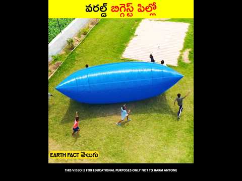 world's-బిగ్గెస్ట్-pillow-|-earthfacttelugu|-#shorts