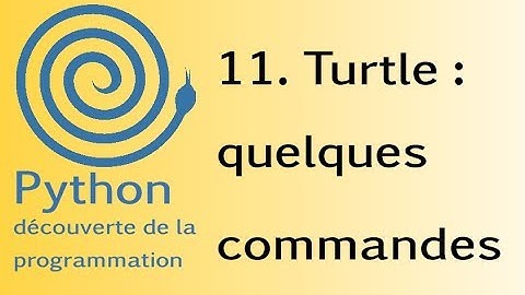 11. Turtle : quelques commandes