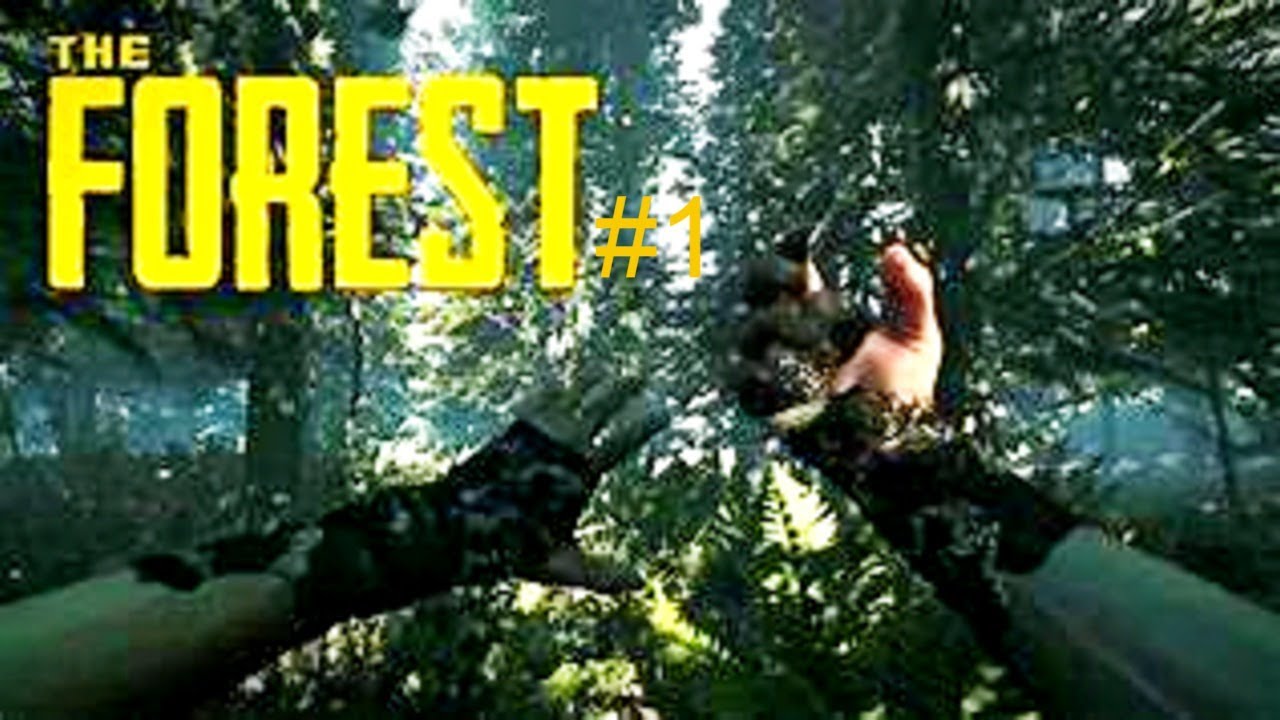 the forest live solo YouTube