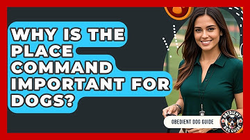 Why Is The Place Command Important For Dogs? - Obedient Dog Guide