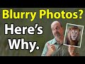 Blurry Wildlife Photos? This Is Why! (Top 3 Reasons For Soft Wildlife And Bird Photos)