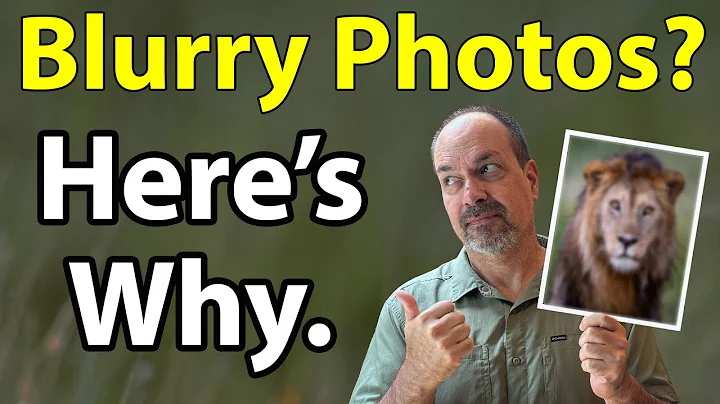 Blurry Wildlife Photos? This Is Why! (Top 3 Reasons For Soft Wildlife And Bird Photos) thumbnail