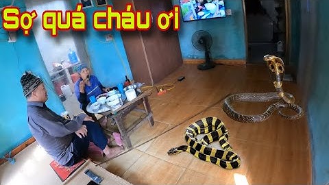 Cuộc Gọi Khẩn Cấp Của Ông Bà Lão 80 Tuổi Run S.ợ Gặp Rắn Cạp Nong Đi Ăn Đêm | Đại Vùng Cao 