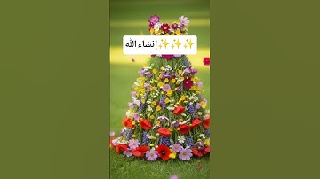 #Dre #egzonibrahimi #سورة_الإخلاص #ikhlas #islamicstatus #beautiful #pawarholakhalid amScreenAI