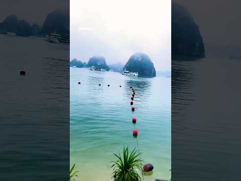 love vietnam