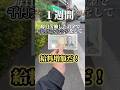 1週間毎日労働したお金で千円チャレンジして給料増額だ! 年末編 #ジャグラー #スロット #パチスロ #1週間チャレンジ #1000円チャレンジ #マイジャグ #ジャグラーガールズ #ペカり