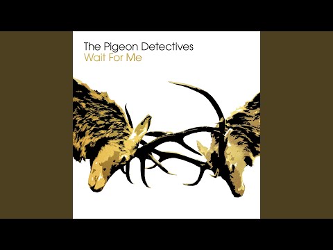 The Pigeon Detectives - I Found Out