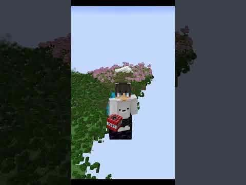 12. Januar 2026 by DackelclubYT