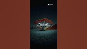 #سورة_مريم | وَيَقُولُ الْإِنسَانُ أَإِذَا مَا مِتُّ لَسَوْفَ أُخْرَجُ حَيًّا | #قرآن #اكسبلور