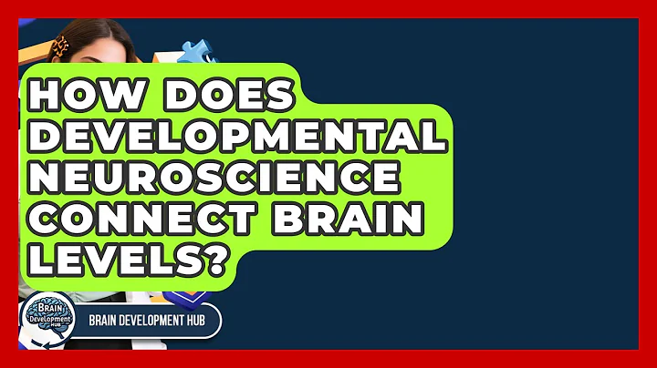 How Does Developmental Neuroscience Connect Brain Levels? - Brain Development Hub