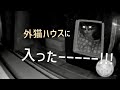【最終回】やっと…外猫ハウスに入ってくれました!!!!