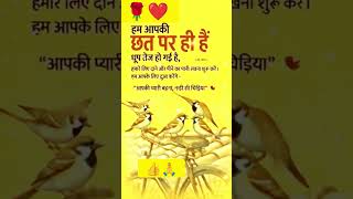 Ham aapki Chhat per🙏❤️💐#motivational #jayakishorijibhajan #inspiration #inshortvideos #jayakishori 👍