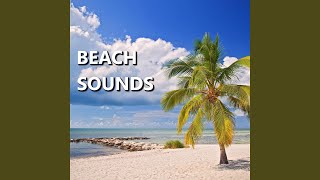 Distinct Paradise Ocean Waves