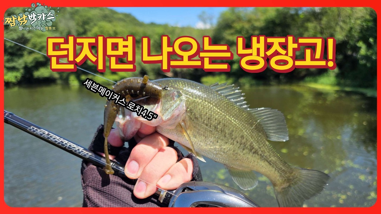 배스낚시 소류지 여름 힐링낚시 짬낚 뭐든 나오면 감사합니다!#프리리그 #FREERIG #bassfishing #fishing