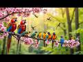Calming Birdsong &amp; Soft Piano 🌼 Natural Spring Sounds ✨ Deep Sleep &amp; Stress Relief
