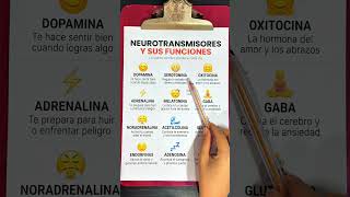 Funciones de los neurotransmisores