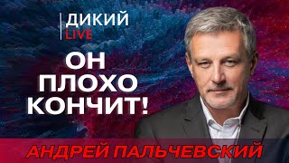 Держите меня семеро… Андрей Пальчевский. Дикий LIVE.