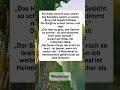 Gefährliche Heimkehr: Wenn das Schlachtfeld sicherer ist! 🏰⚔️ #flachwitz #funny