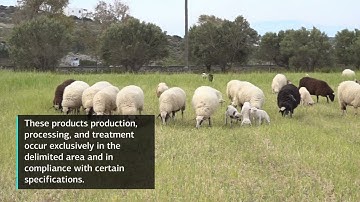 Protected Designation of Origin - Graviera Naxou P.D.O.